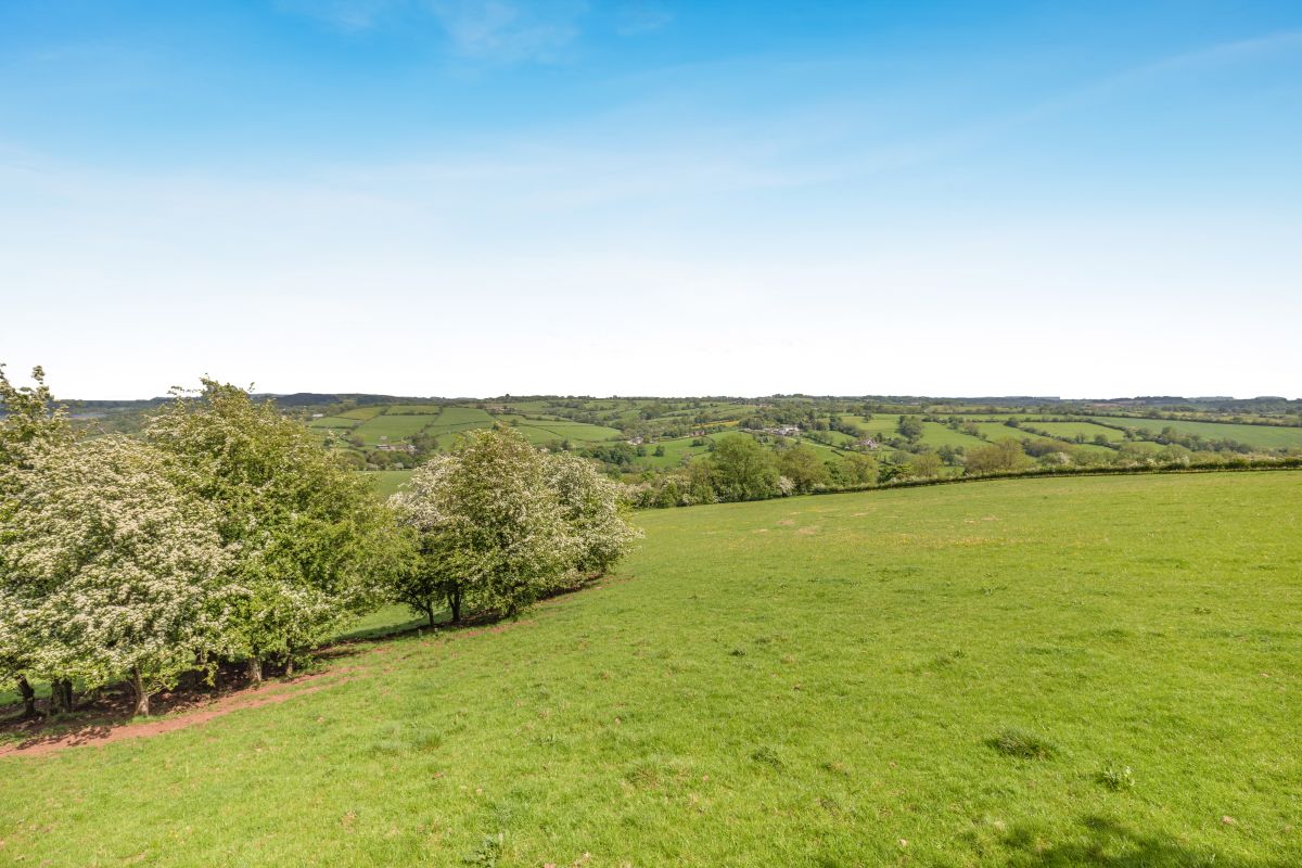 Damson Jam, listing photograph 8