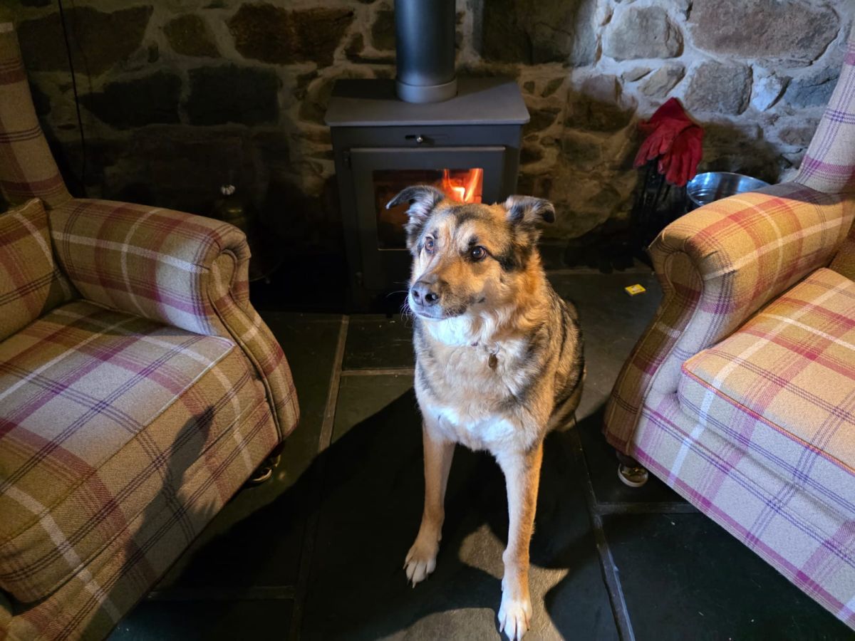 Cosy Mountain Farmhouse, listing photograph 8