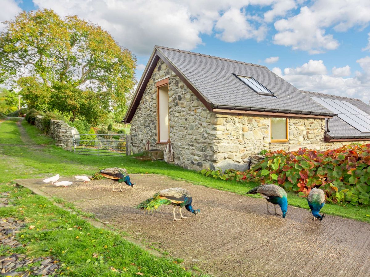 Glyn Bach Barn, listing photograph 3
