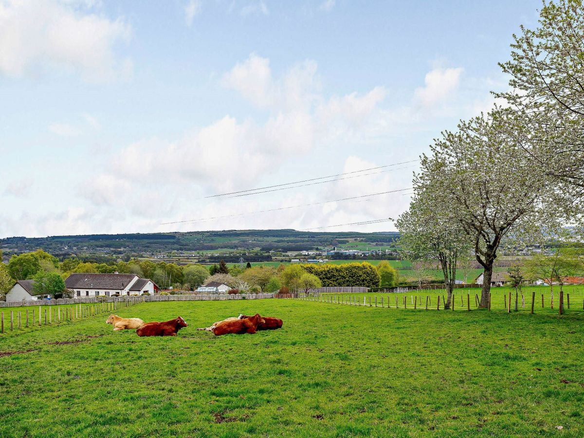 Brae Cottage - Beauly, listing photograph 4