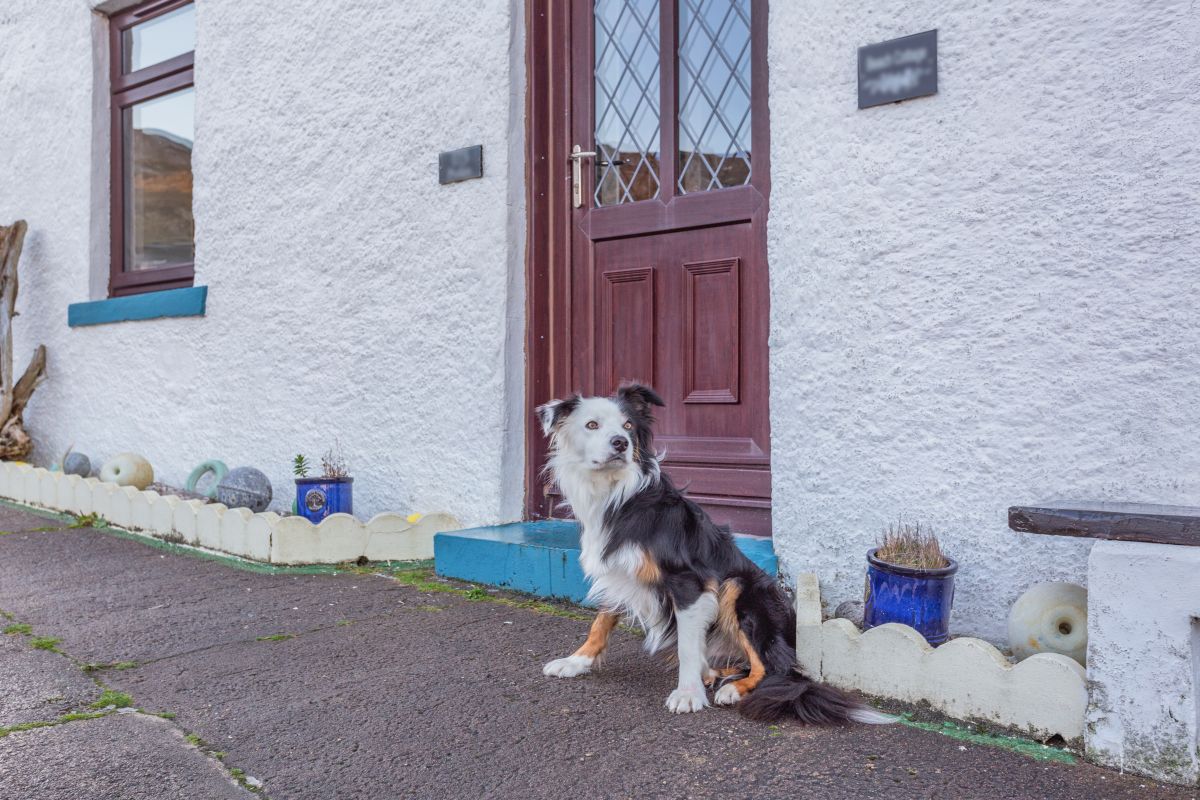 Bothan na Tràigh, listing photograph 11