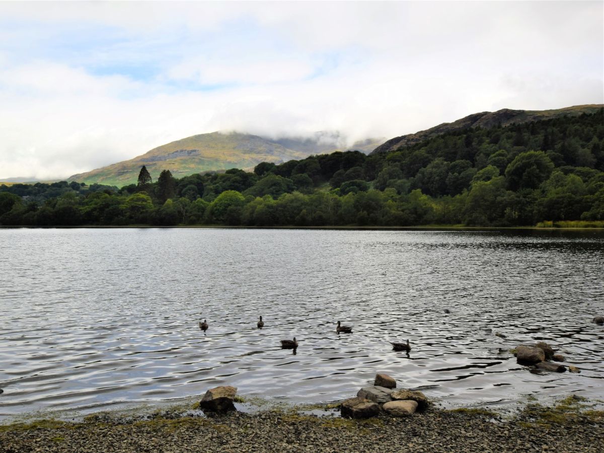 The Dairy - Lake District, listing photograph 10