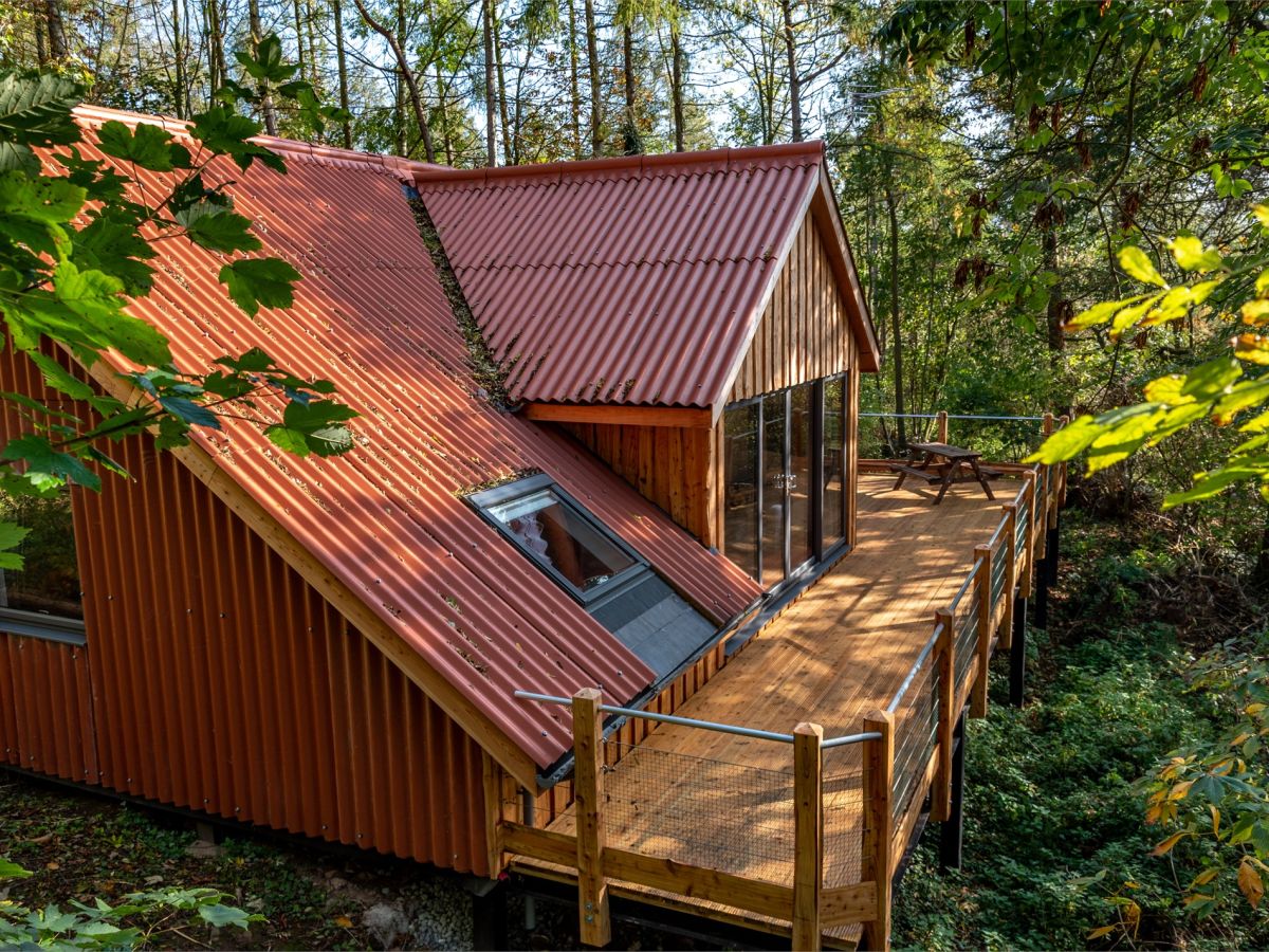 Larchwood Bothy, listing photograph 5