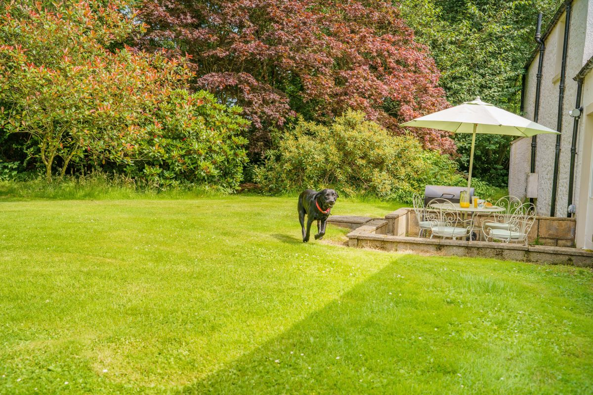 Bannatyne Lodge, listing photograph 7