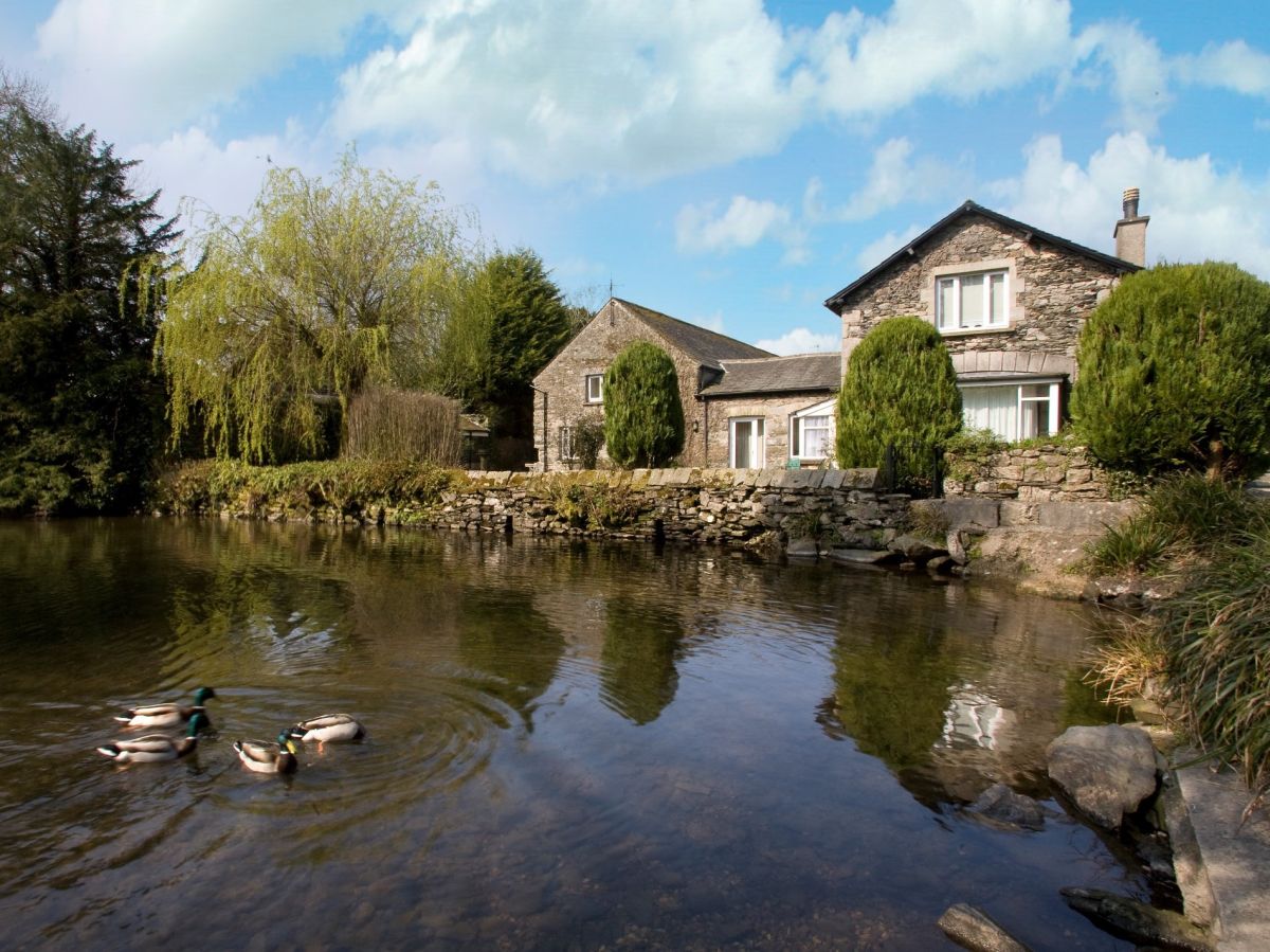 Ducklings Retreat
