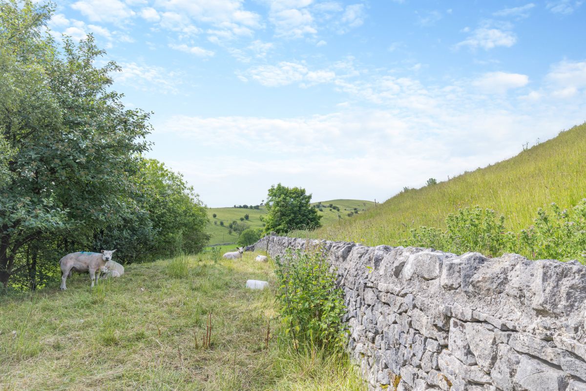 Harebell Hill, listing photograph 9