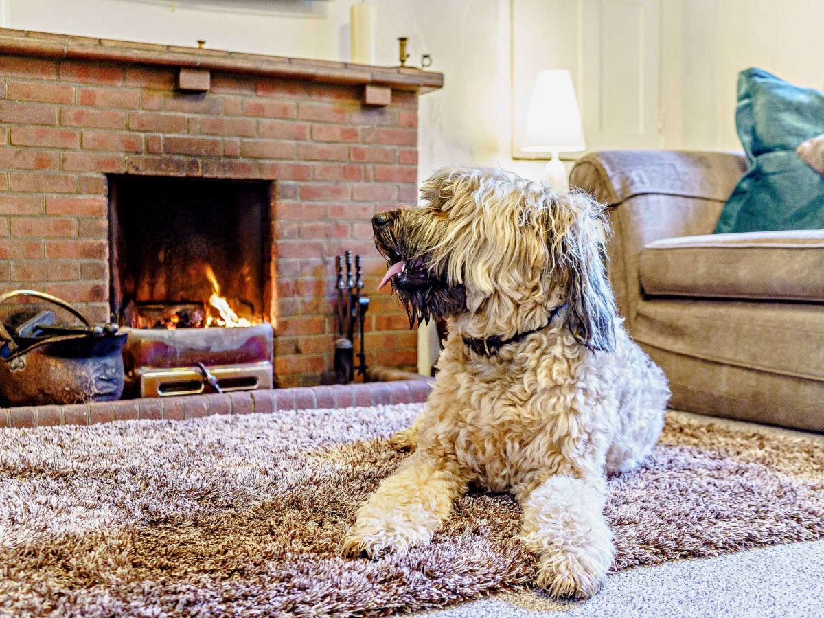 The Lodge - Hawkshead, listing photograph 11