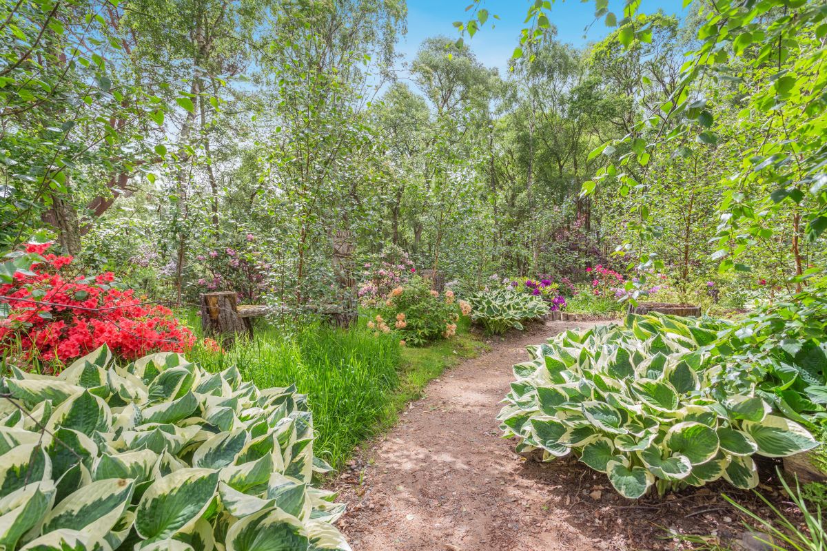 Woodside Cottage, listing photograph 6