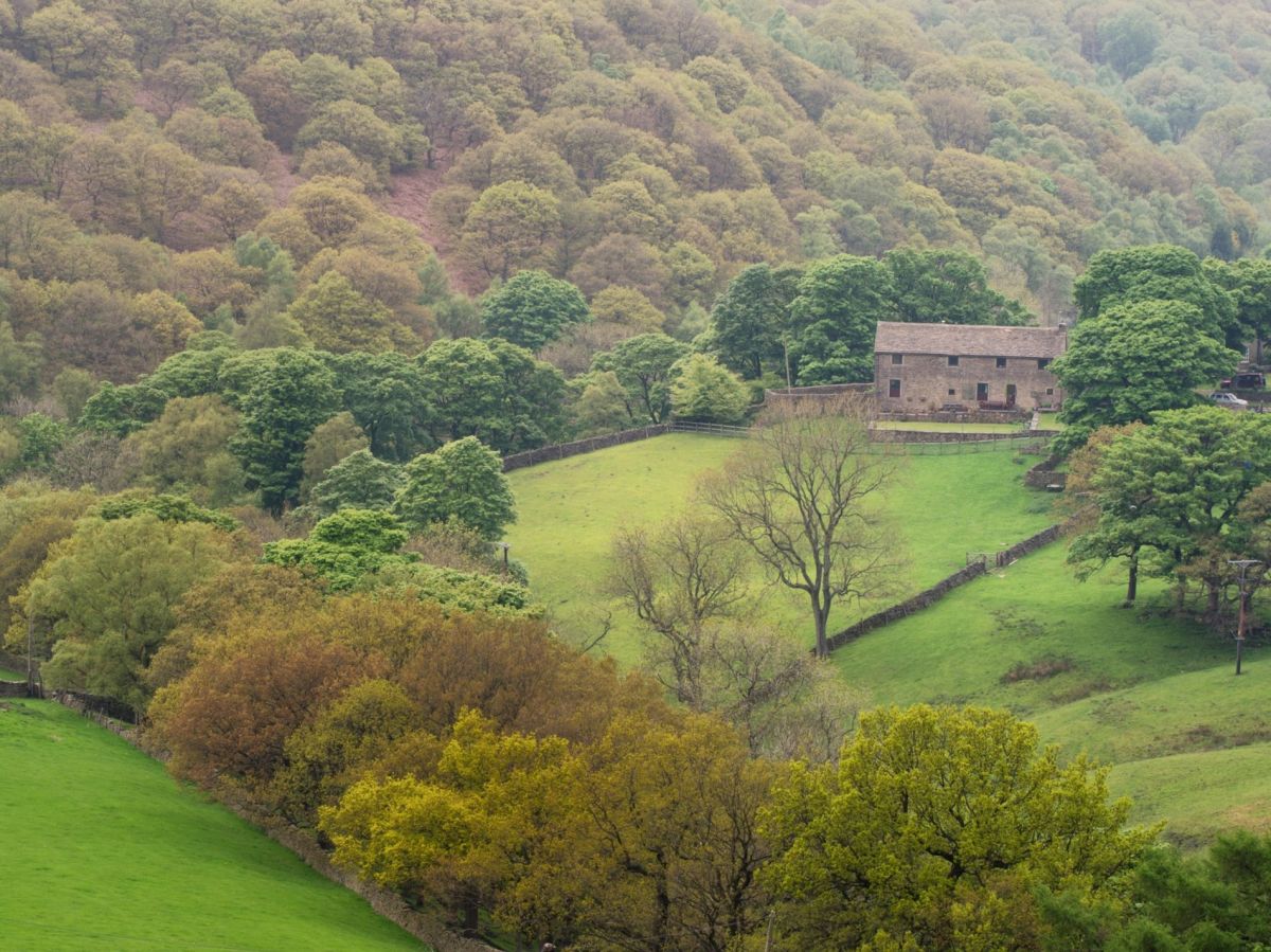 Kinder Cottage