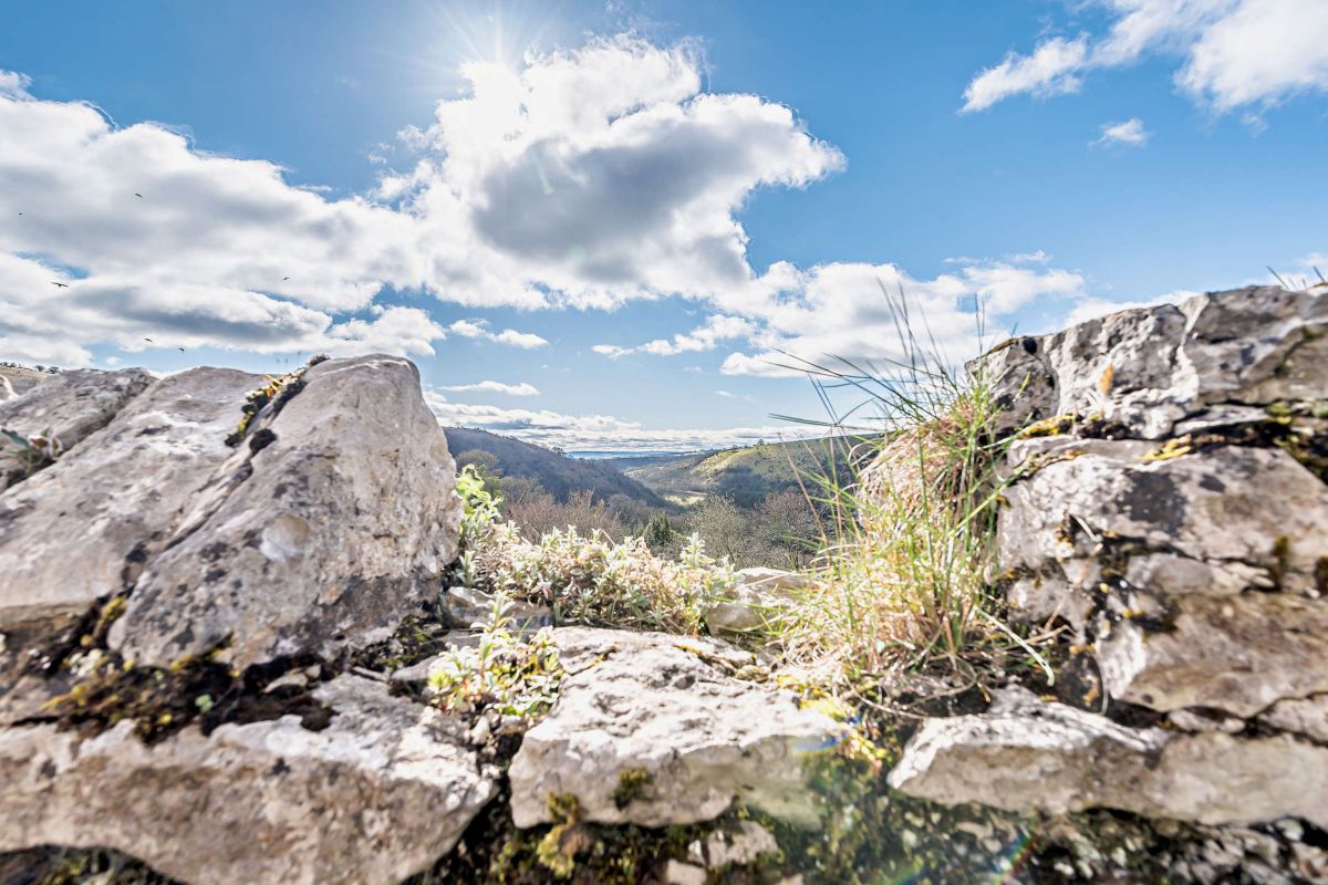 Swift Retreat, listing photograph 4