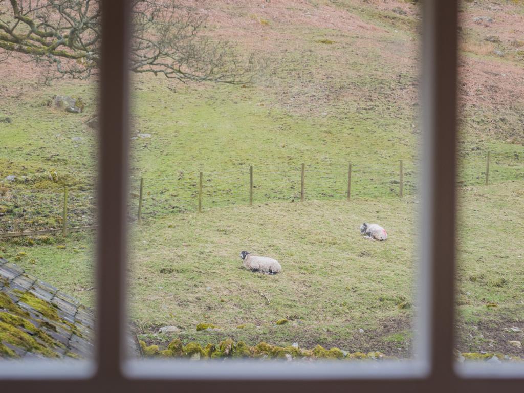 Dovedale Cottage, listing photograph 6