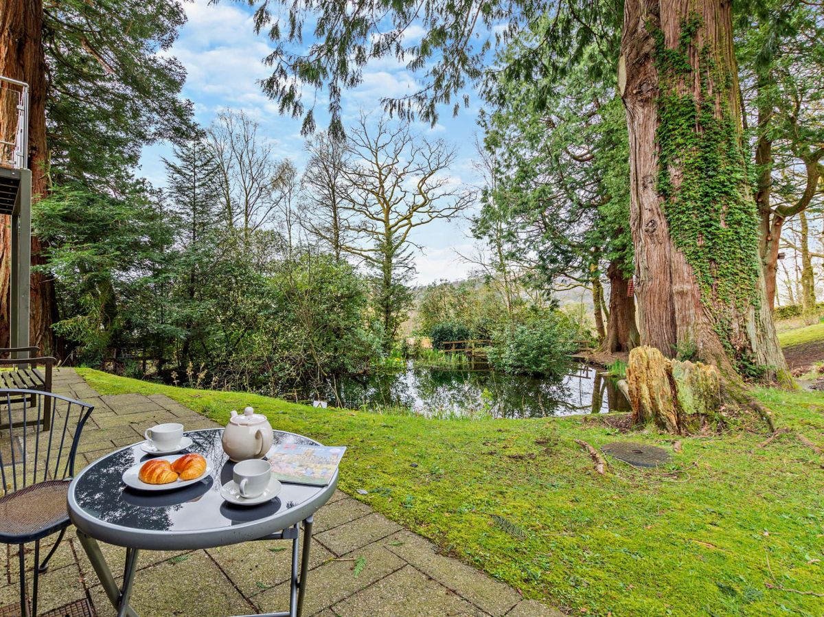 Squirrels - Ambleside, listing photograph 3