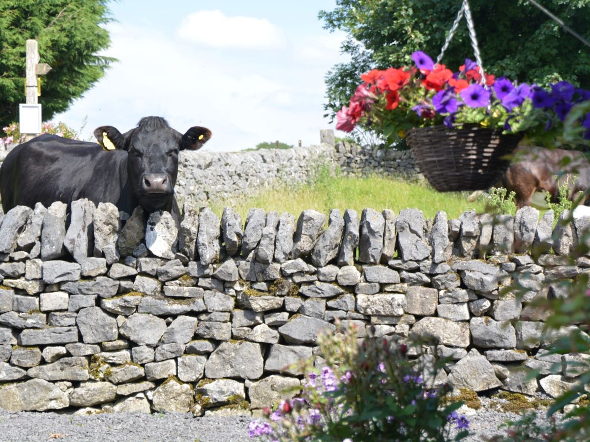 The Hayloft - Taddington, listing photograph 9