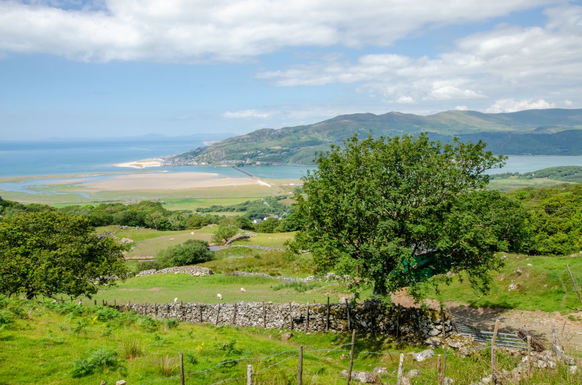 Cyfannedd Uchaf, listing photograph 10
