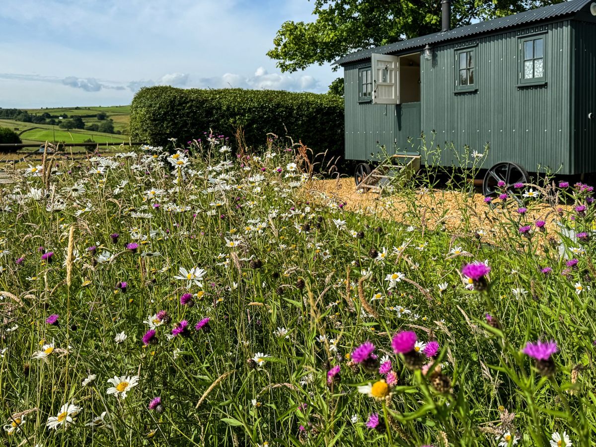 The Curlew Shepherds Hut