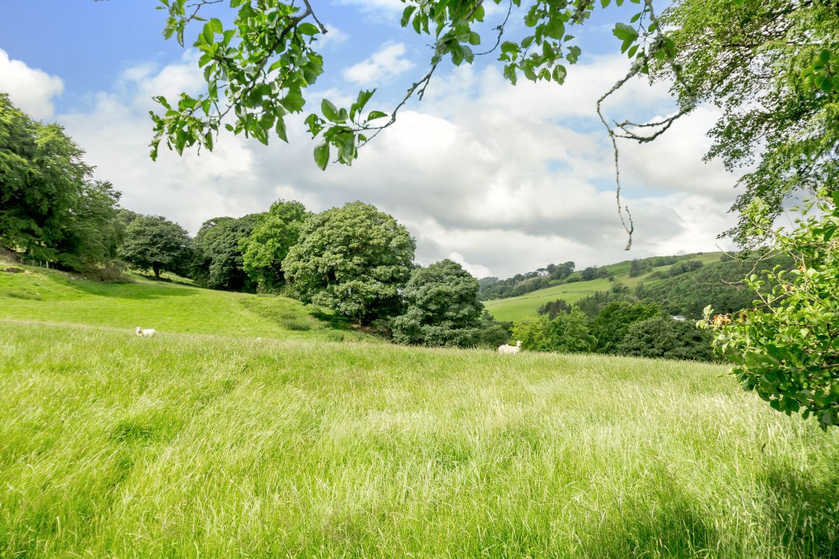 Crud y Wennol, listing photograph 12