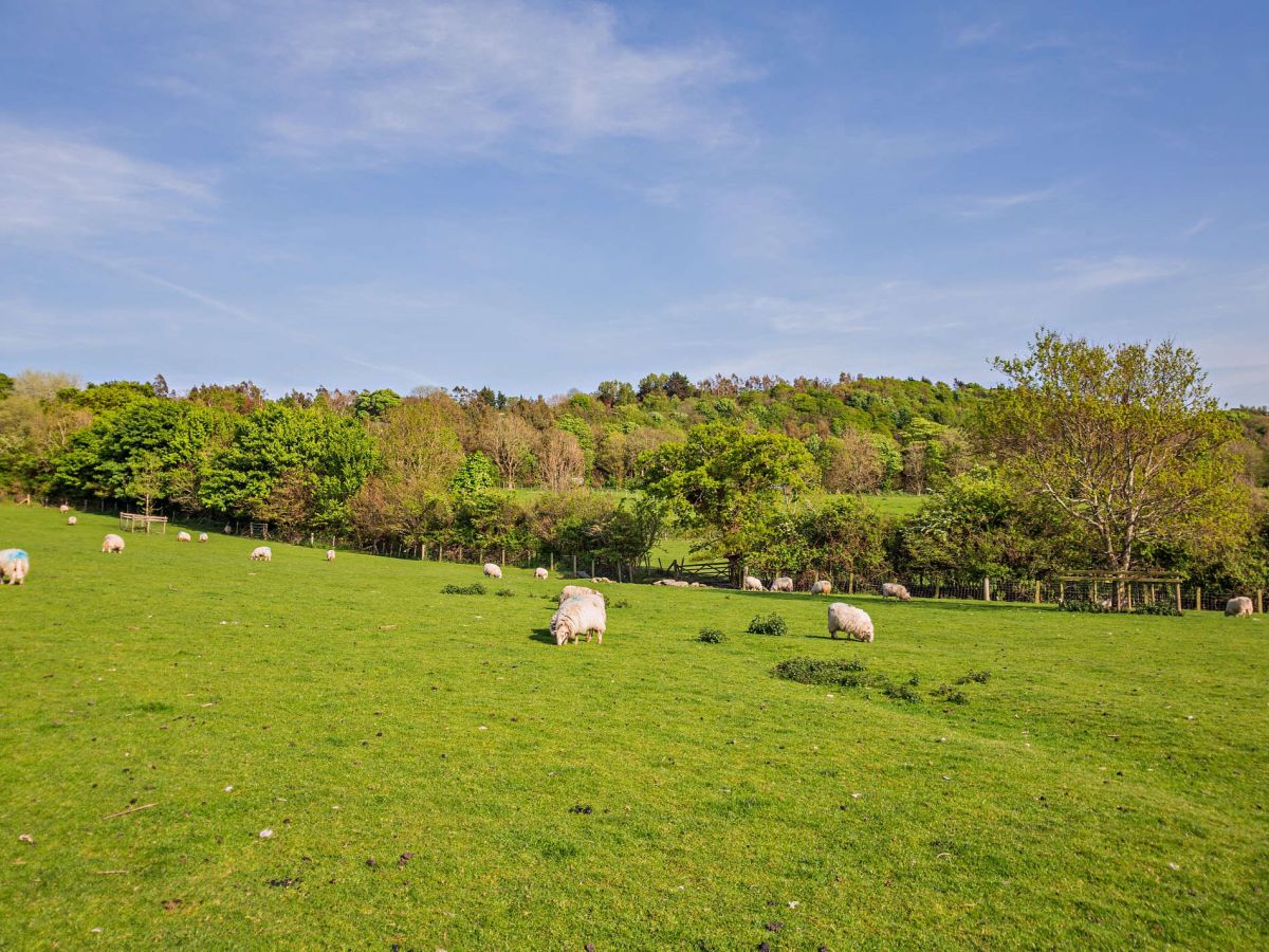 Cennin Conwy, listing photograph 9
