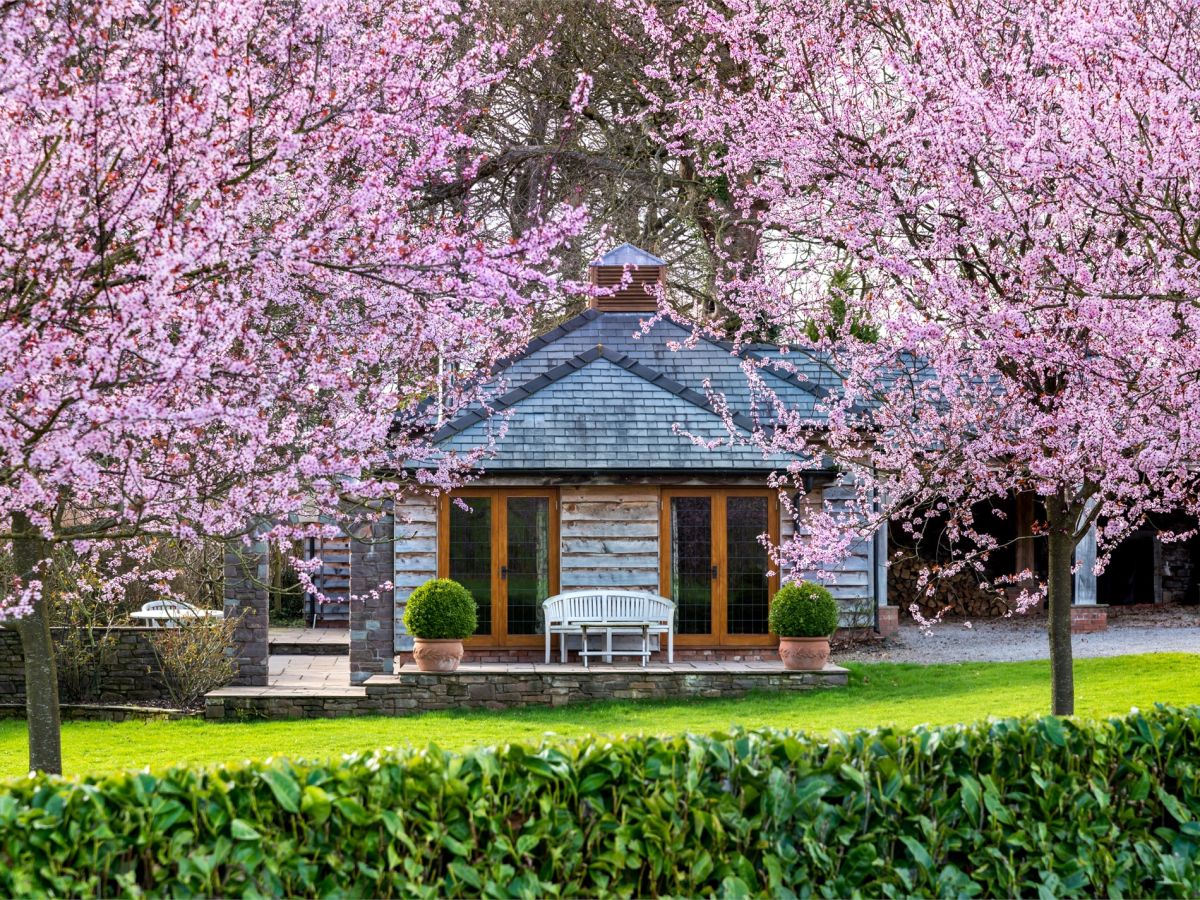 Holly Lodge - Bettws Newydd