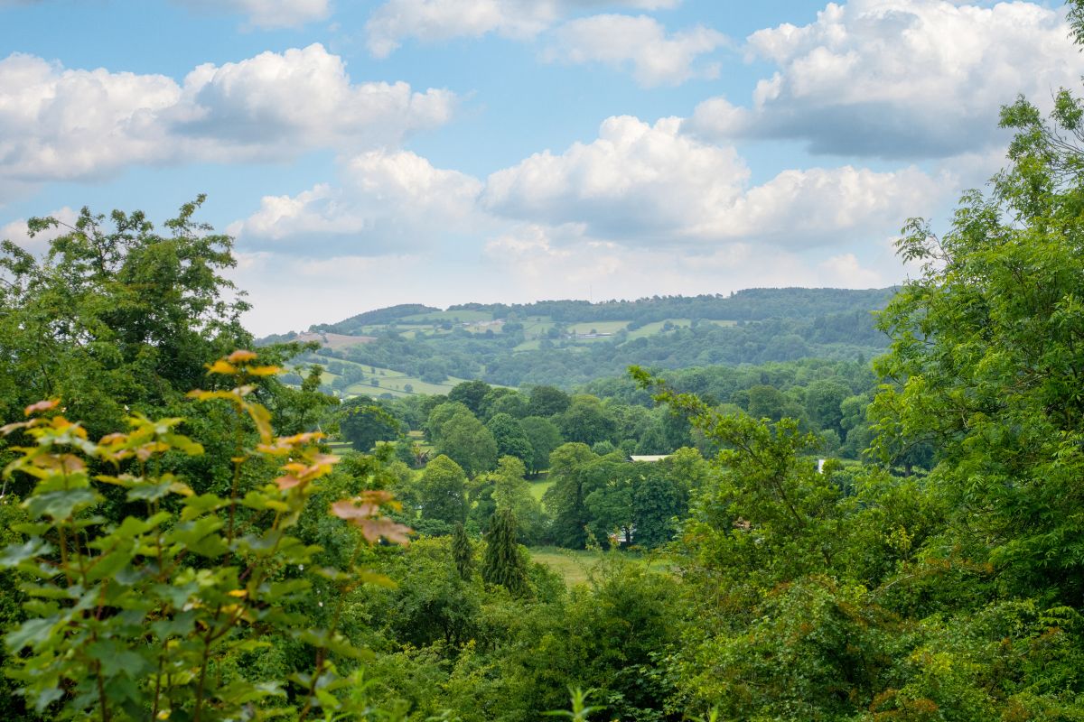 Little Hillside, listing photograph 2