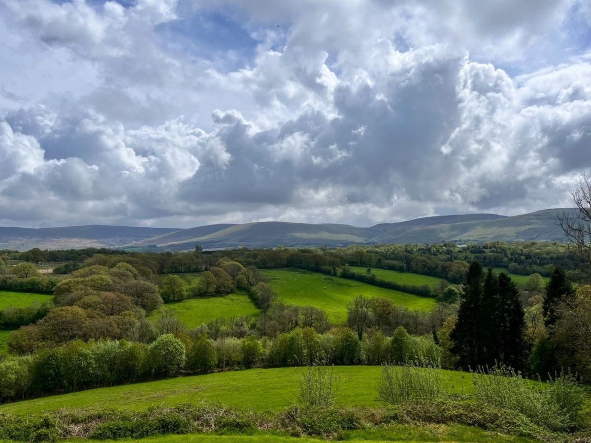 Llwyn-y-neuadd, listing photograph 5