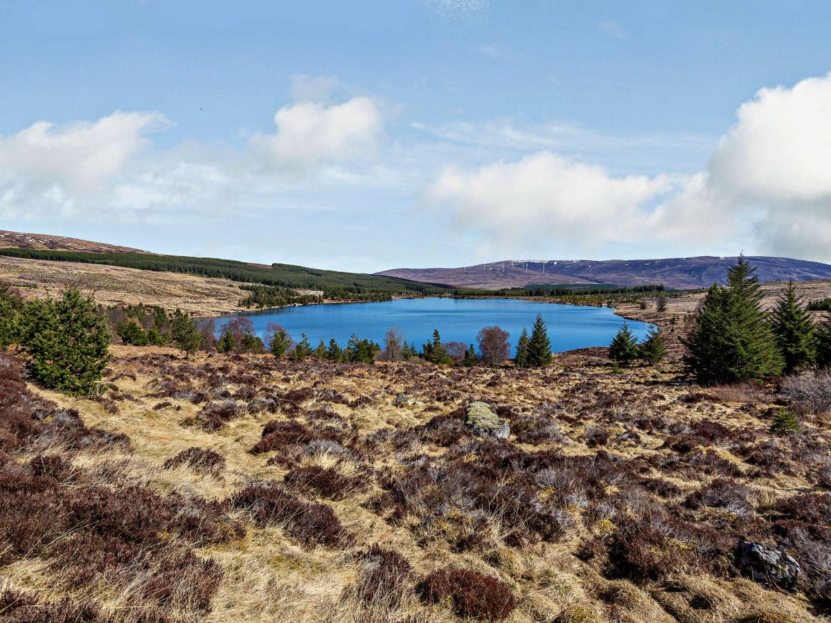 May Cottage - Alness, listing photograph 10