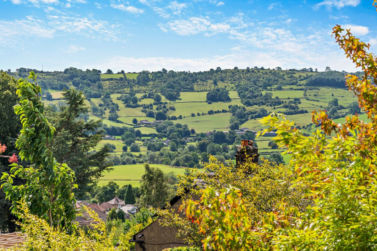 Apple Tree View, listing photograph 5