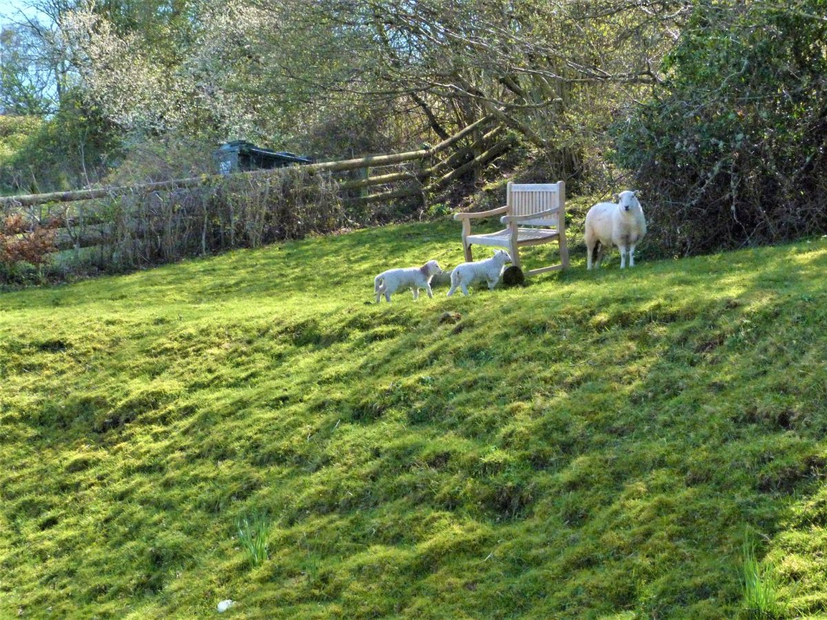 Sycamore Barn, listing photograph 3