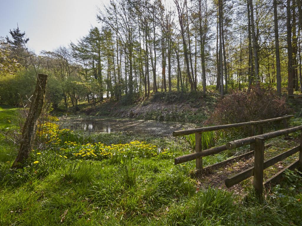 Quarry Hill Stables, listing photograph 12