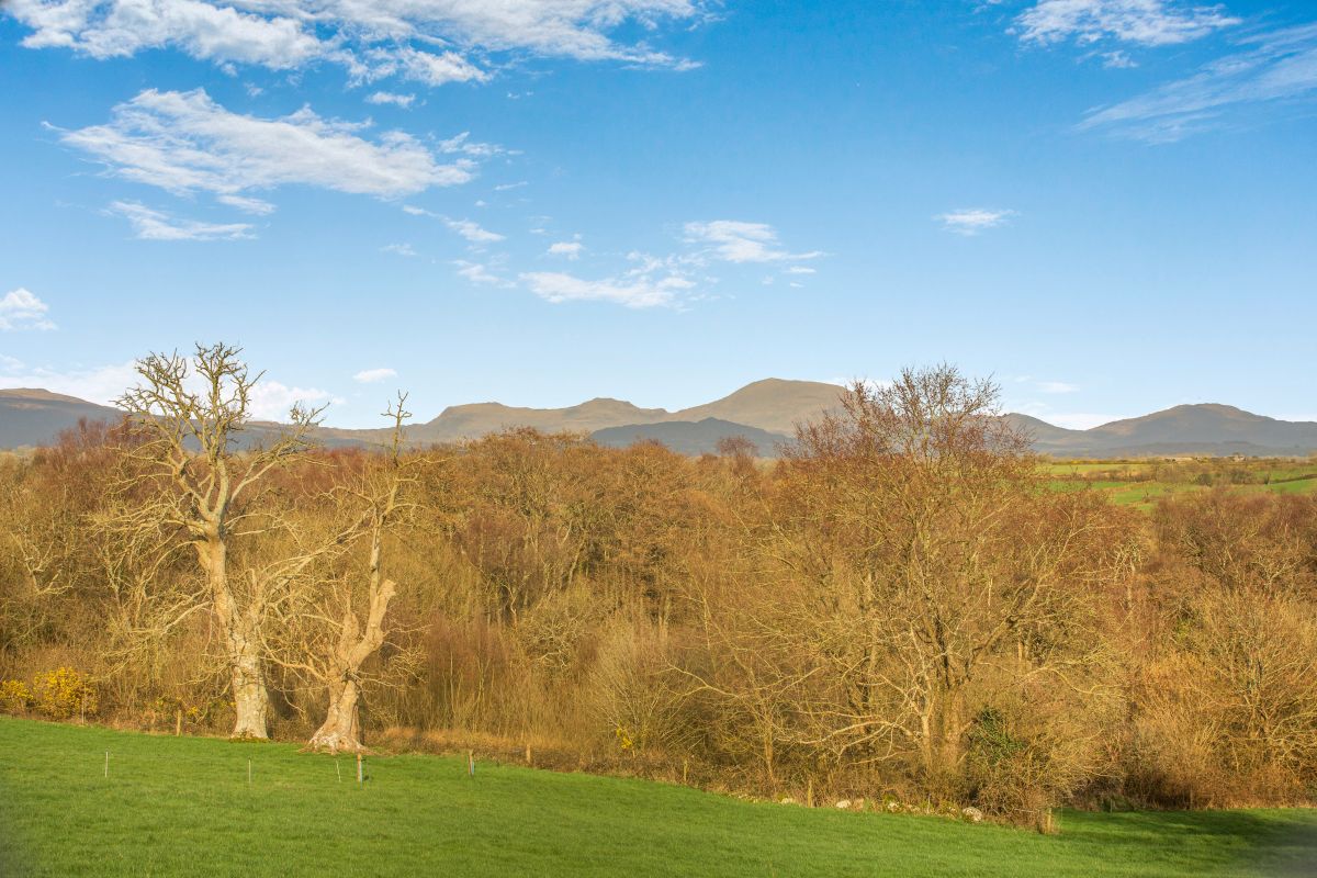 Llys Mawr, listing photograph 11