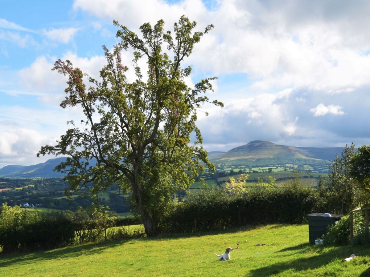 Ty Bryn, listing photograph 4
