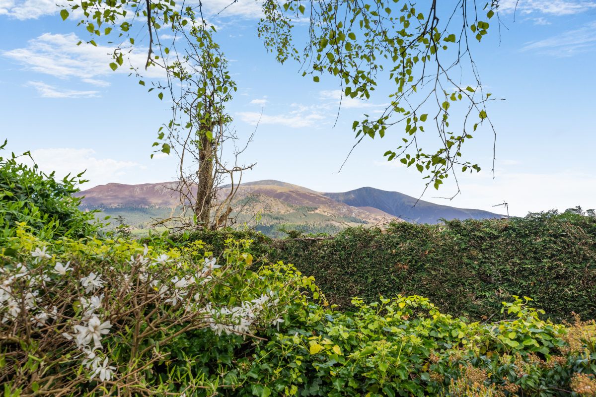 Thornthwaite Rowan, listing photograph 6