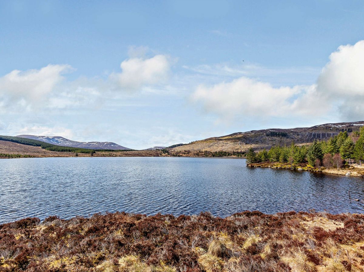 May Cottage - Alness, listing photograph 2