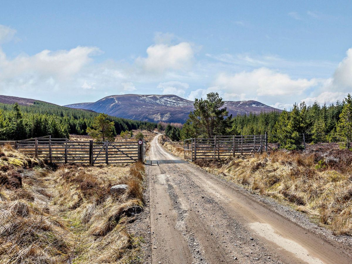 May Cottage - Alness, listing photograph 3