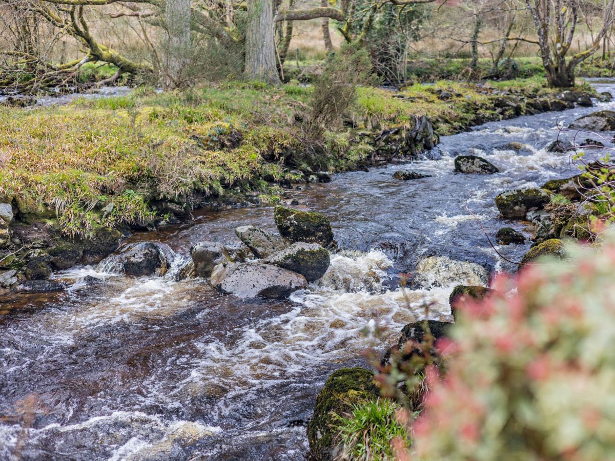 Capel Dolhendre, listing photograph 3