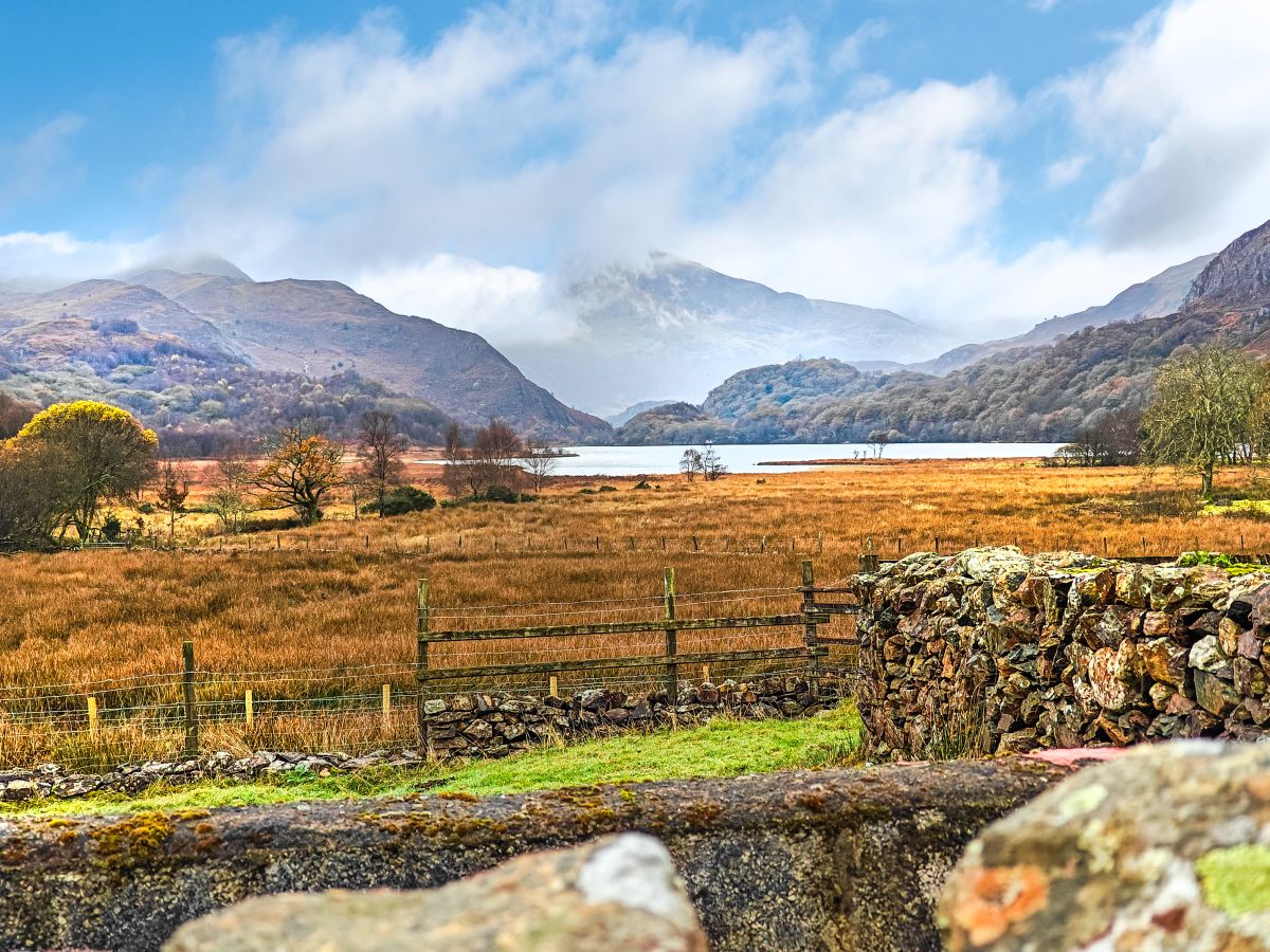 Llyndy Isaf
