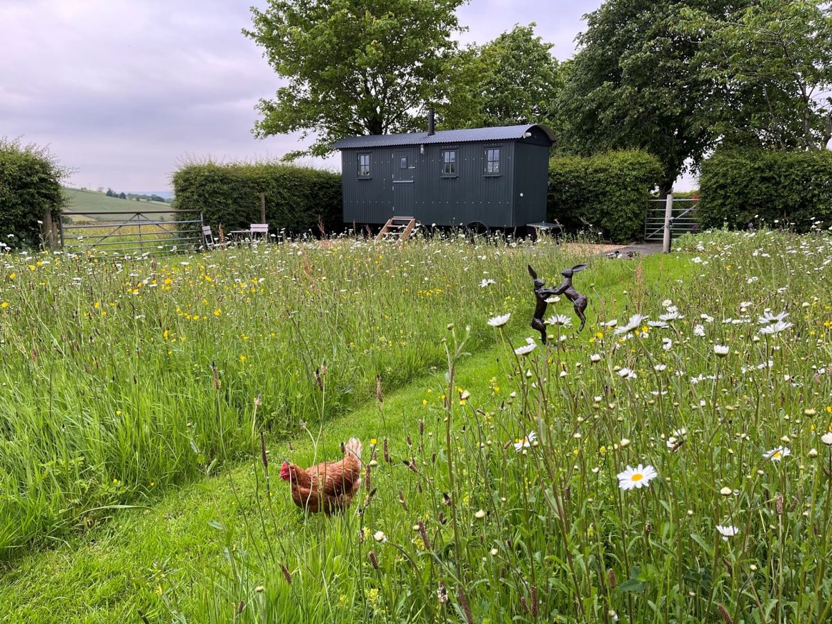 The Curlew Shepherds Hut, listing photograph 6
