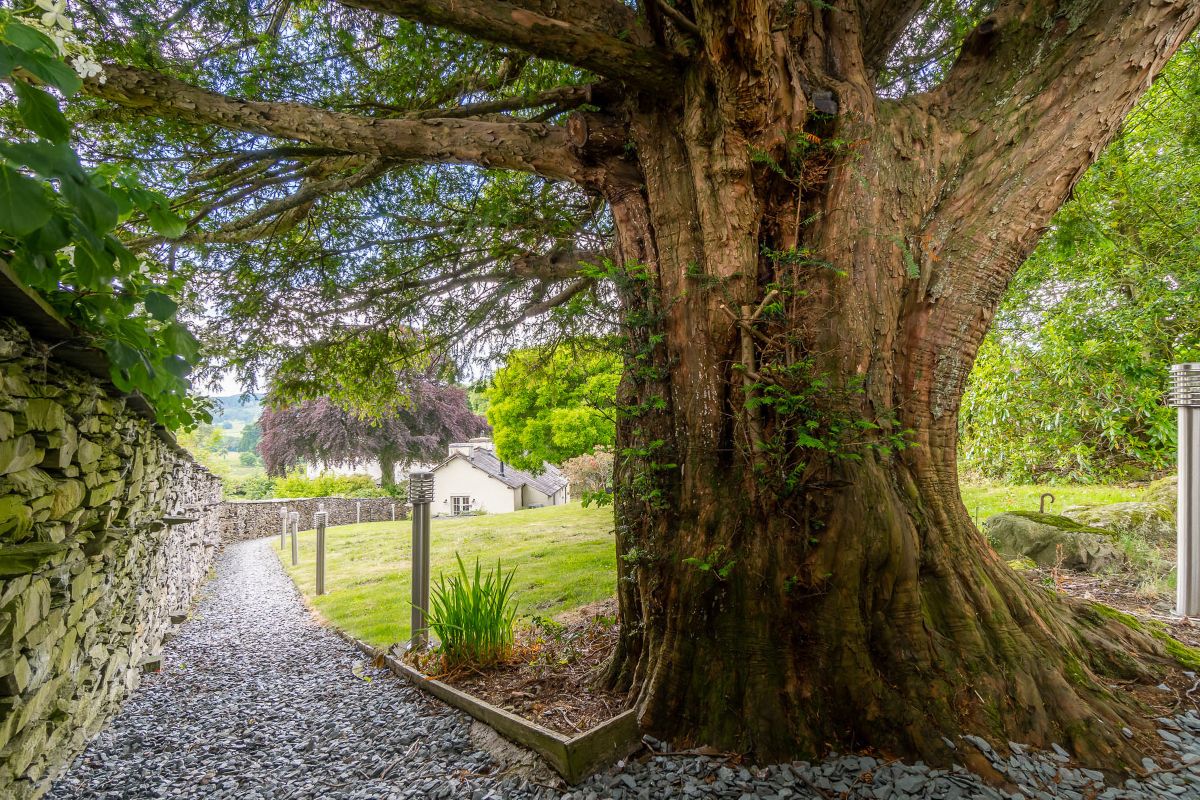 The Farmhouse, listing photograph 8