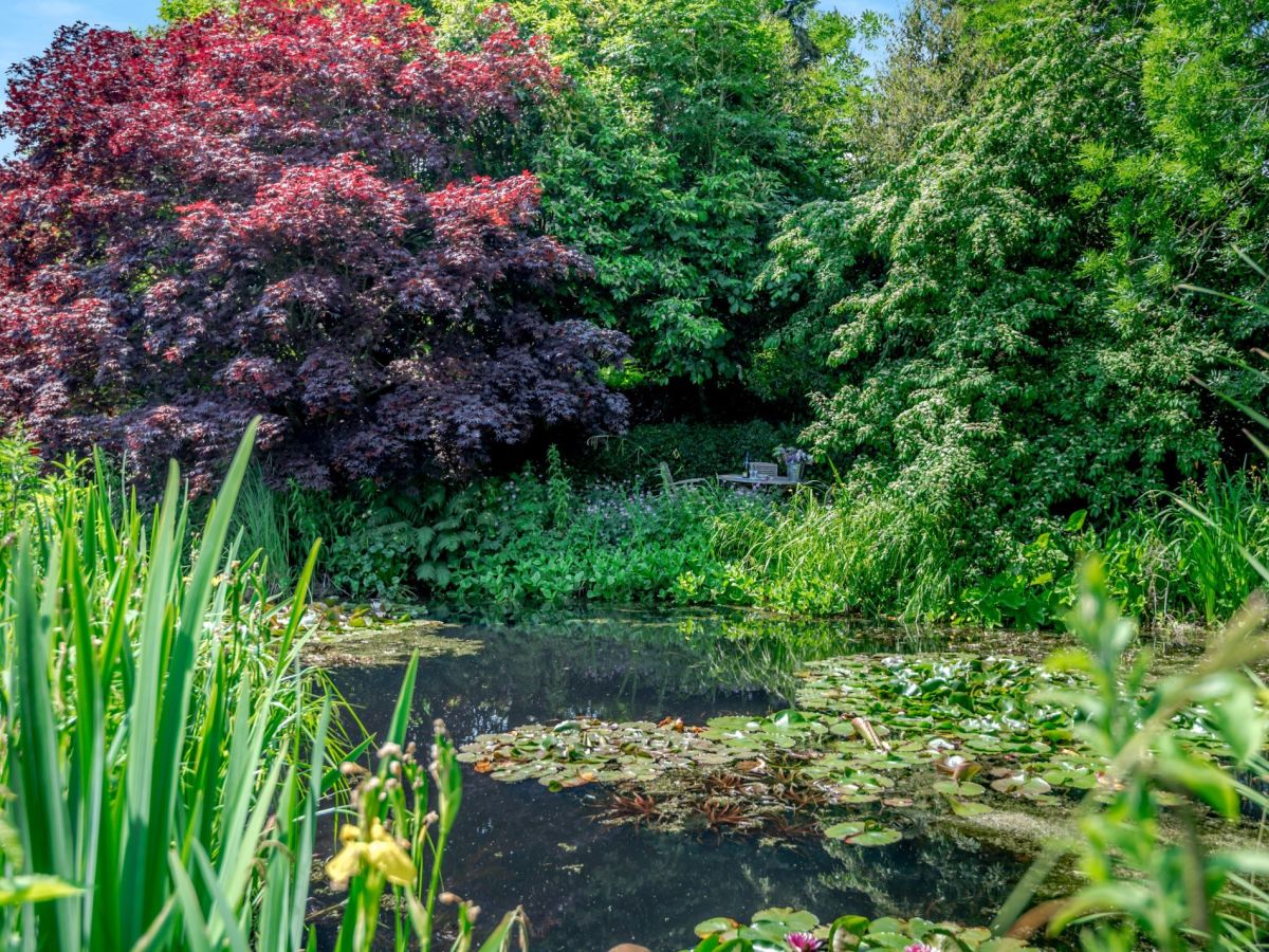 Pond Cottage, listing photograph 3