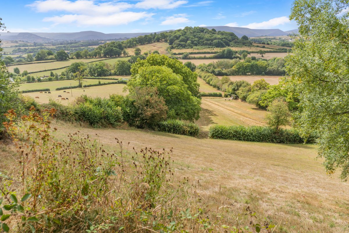 Hillside Meadow, listing photograph 5