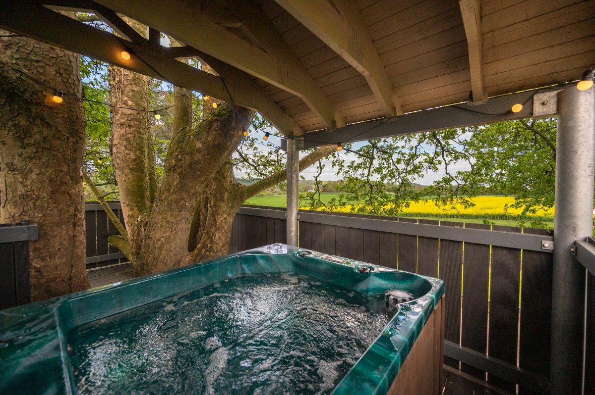 The Treehouse