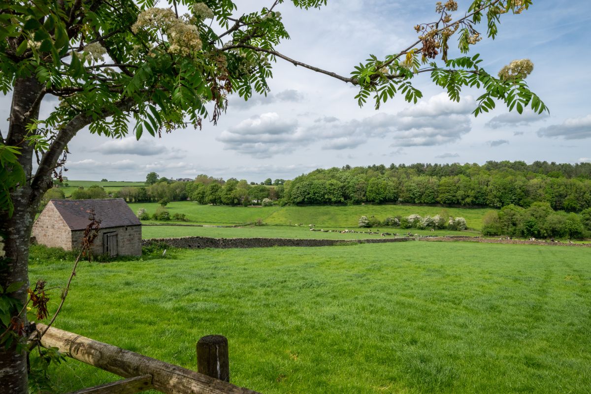 Little House, listing photograph 2