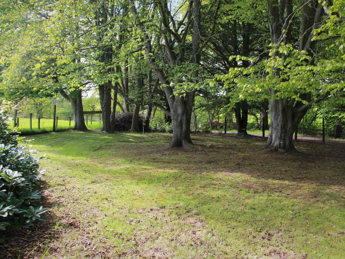 Foresters Cottage, listing photograph 12