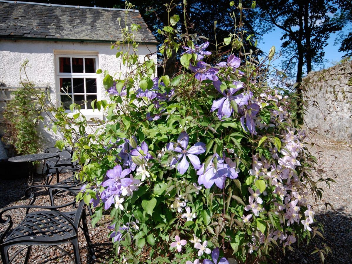 Bonawe House - Clematis Cottage, listing photograph 9