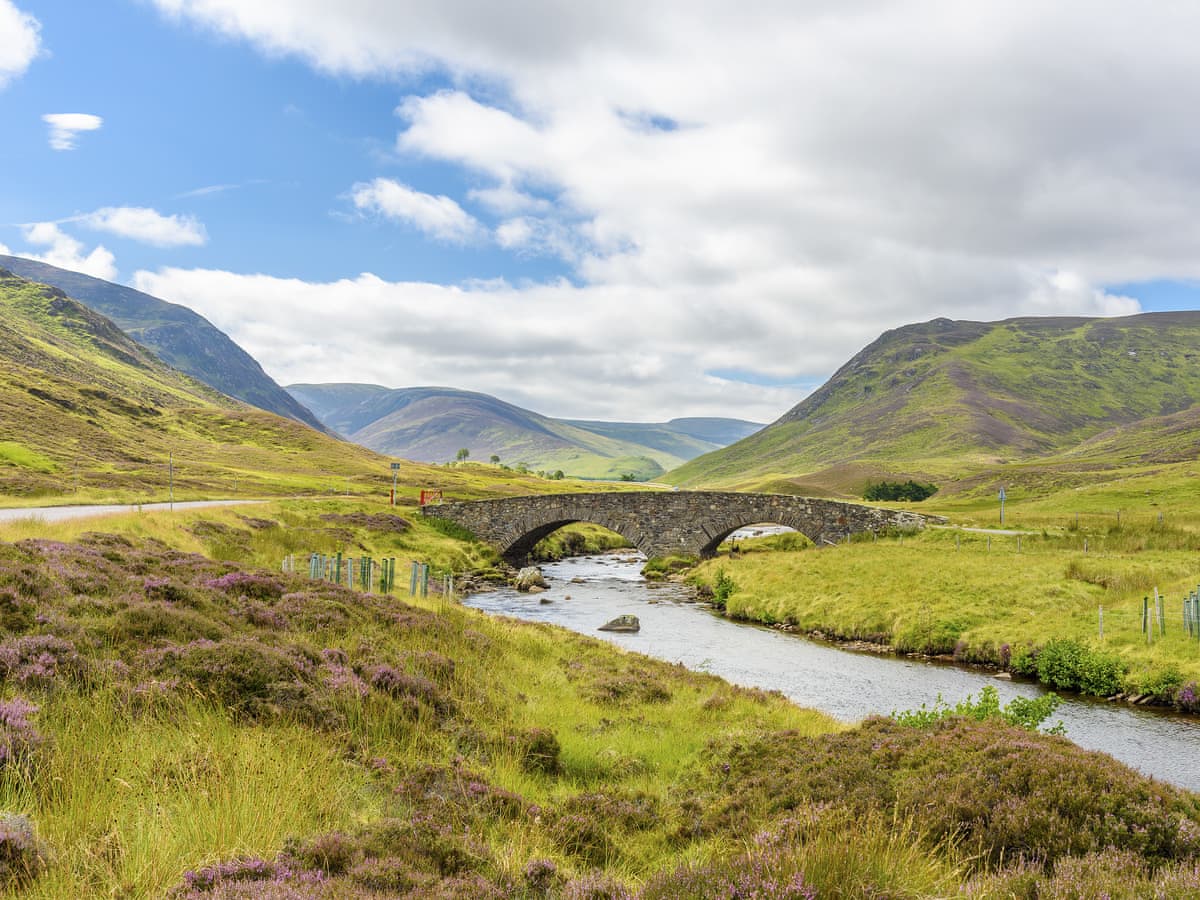 Ardle Lodge, listing photograph 11