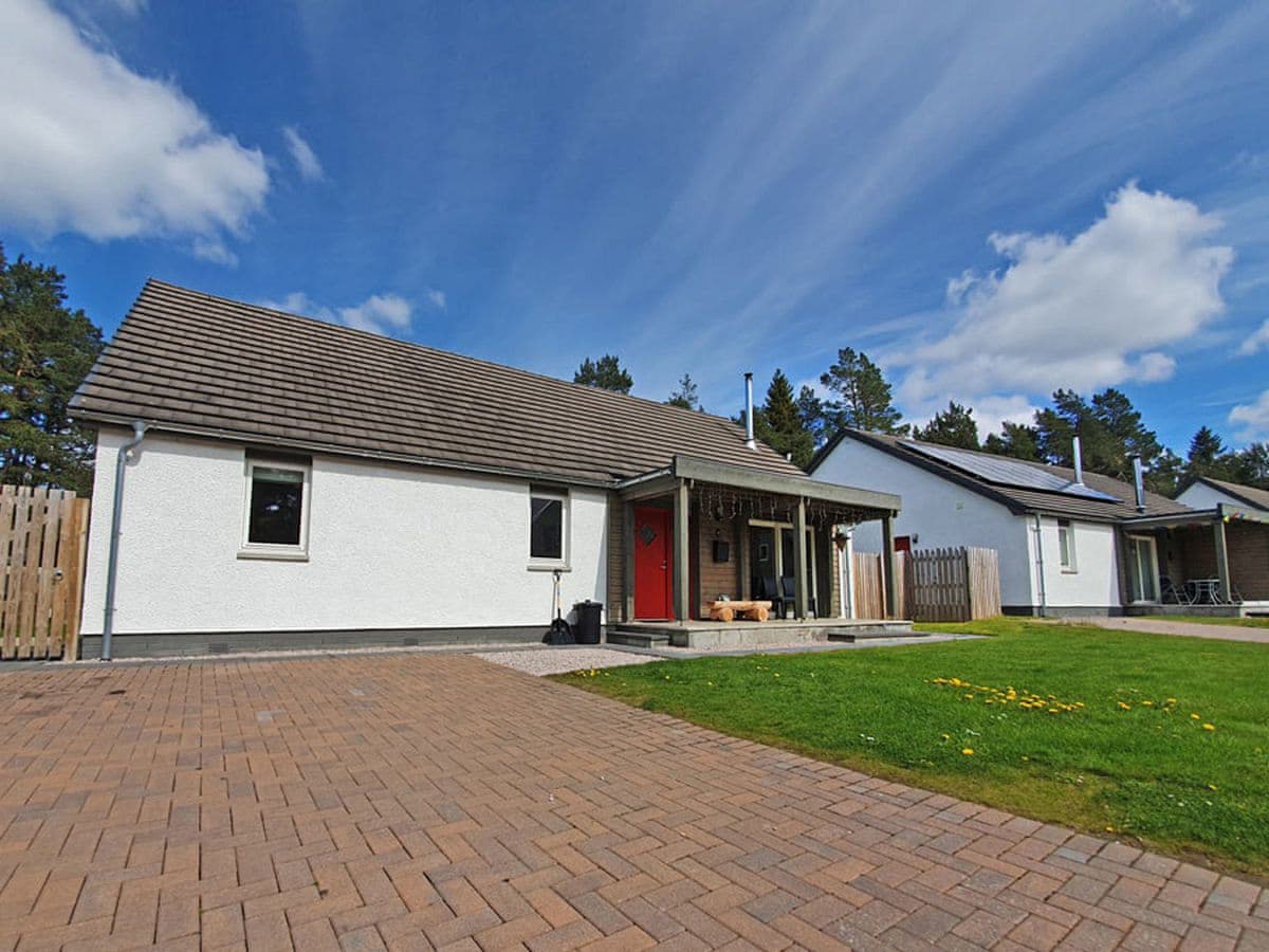 Delmhor No4