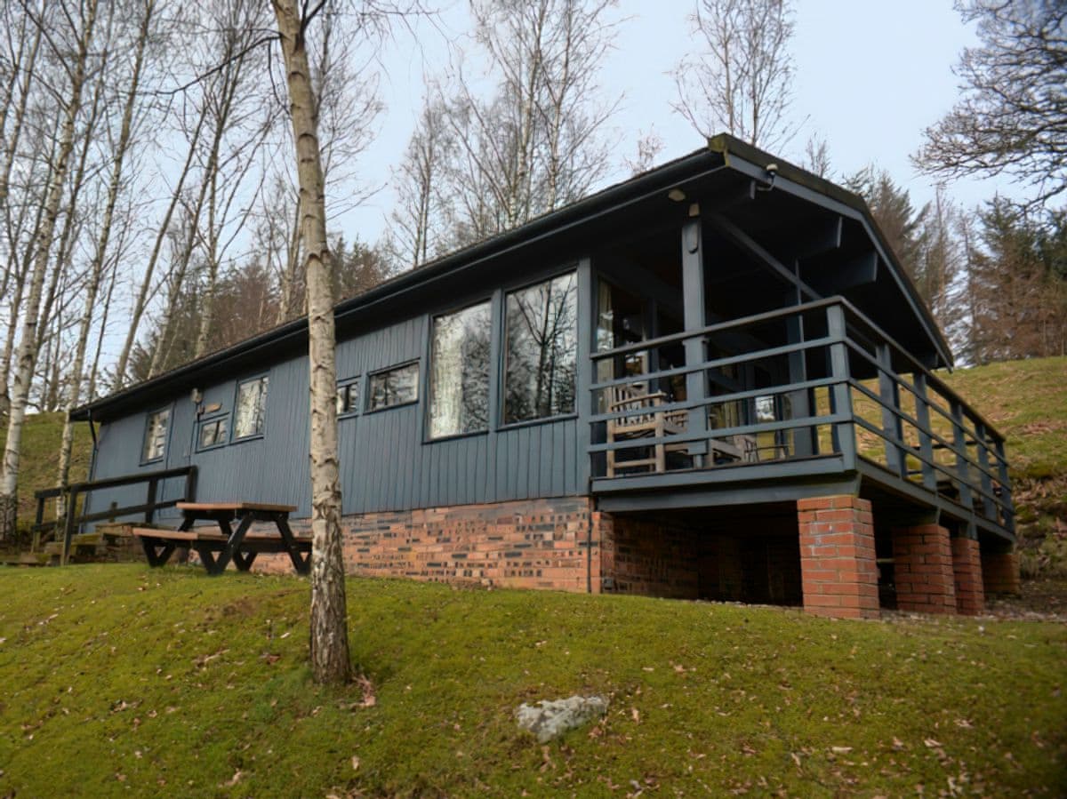 Conifer Chalet 5