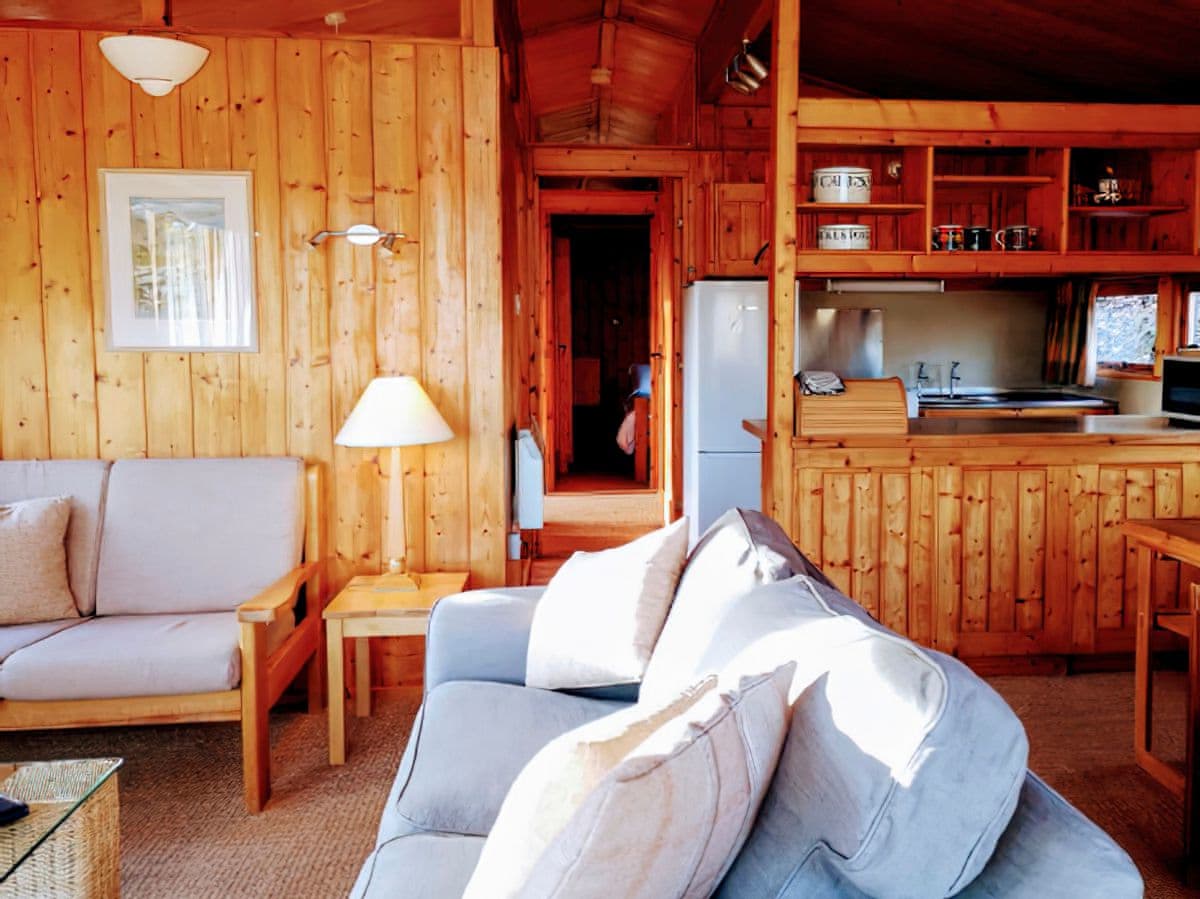 Conifer Chalet 5, listing photograph 3