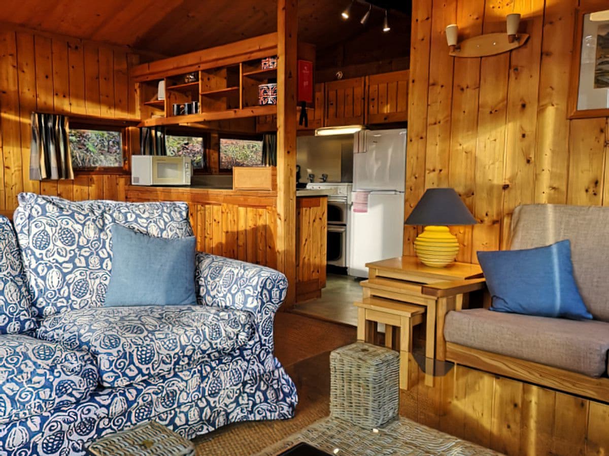 Conifer Chalet 5, listing photograph 4