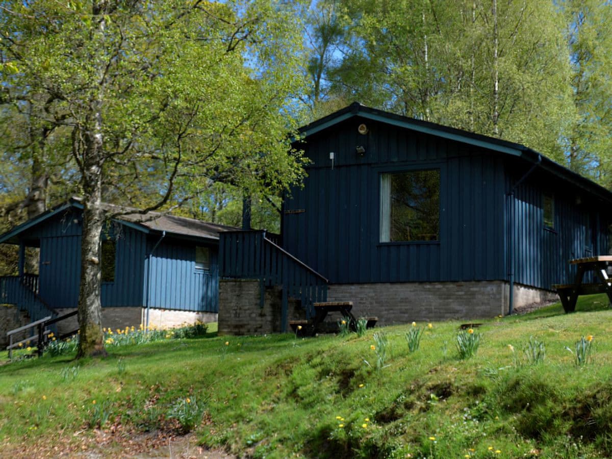 Pine Chalet 22