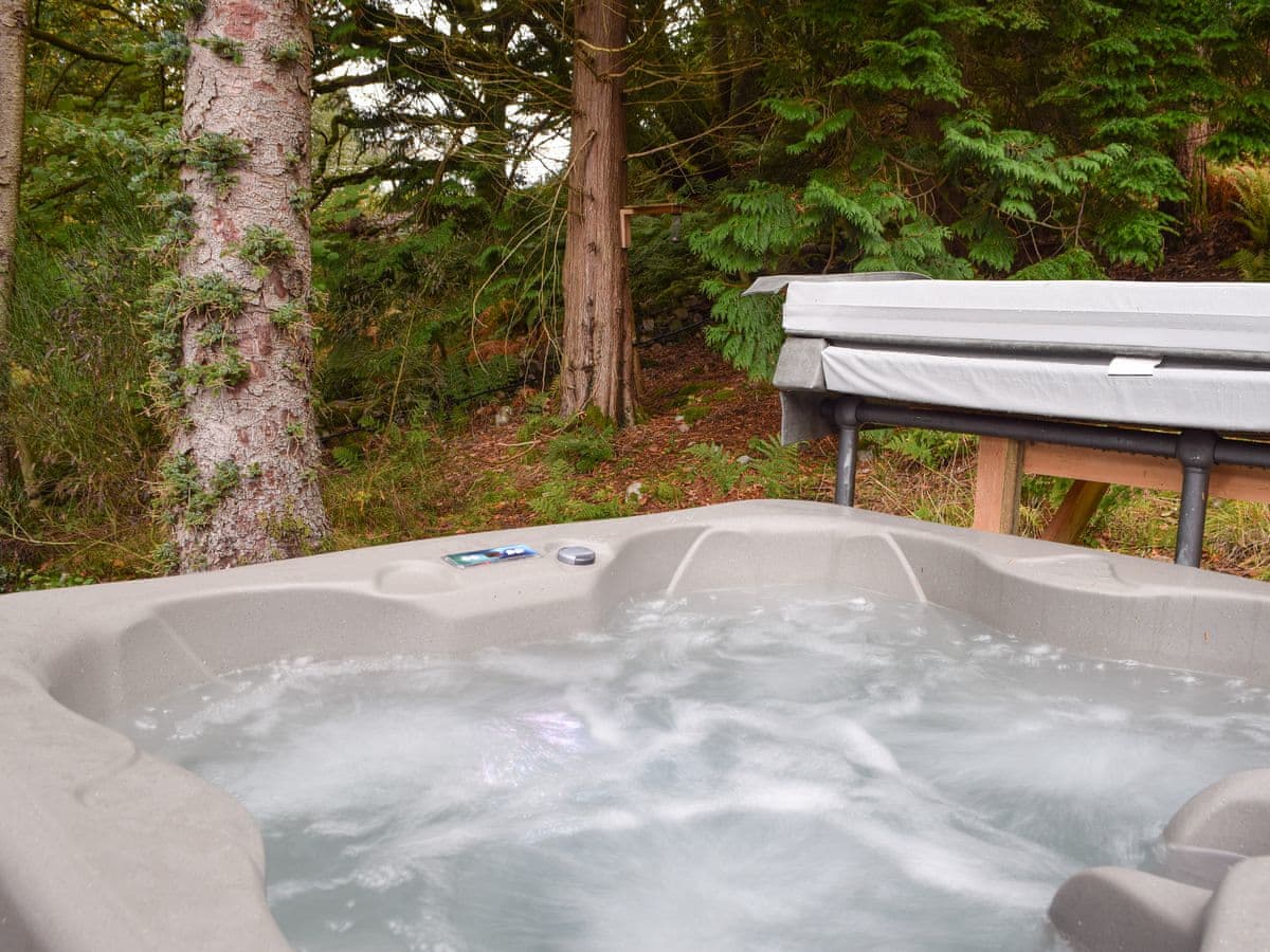 Dundonald Landing - Lochside Chalet, listing photograph 3